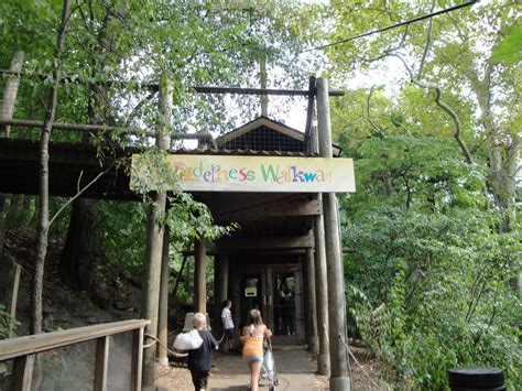 Travels and Wandering: Pittsburgh Zoo - Last Part