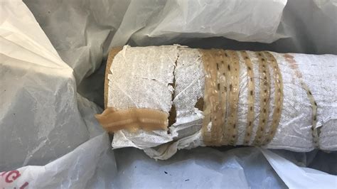 Man Pulls 5 1/2-Foot-Long Tapeworm Out Of His Body, Blames Sushi Habit | Health News Florida