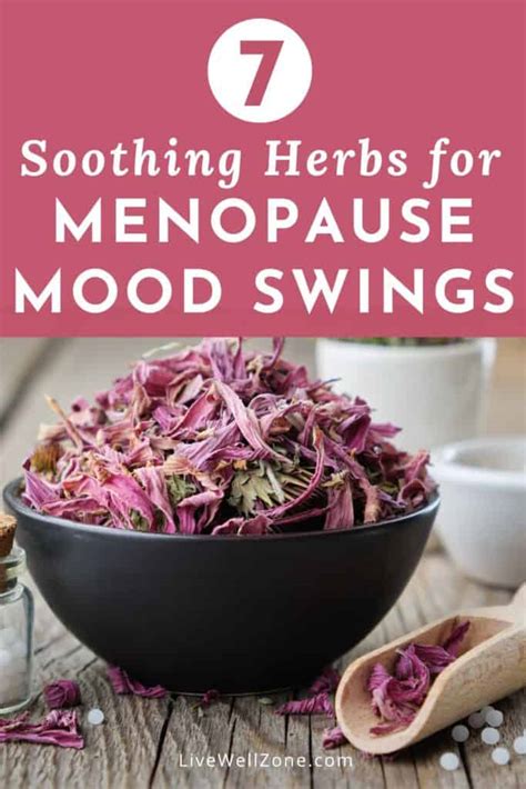 The 7 Best Balancing Herbs for Menopause Mood Swings