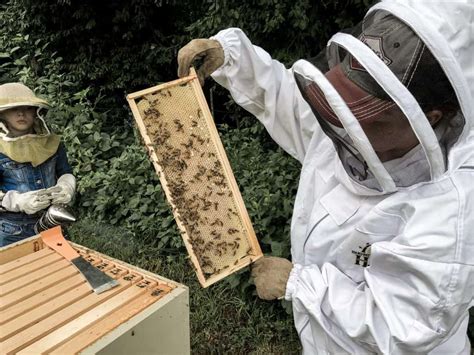 Backyard Beekeeping for Beginners - Rocky Hedge Farm