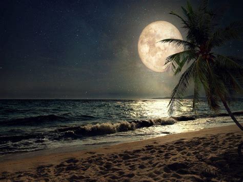 Moon Beach Wallpapers - Top Free Moon Beach Backgrounds - WallpaperAccess