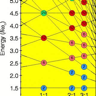 The energy levels of the deformed harmonic oscillator (DHO). | Download ...