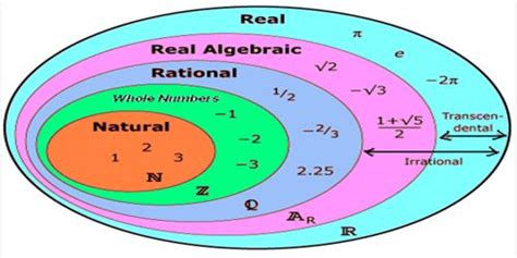 Real Numbers - Assignment Point