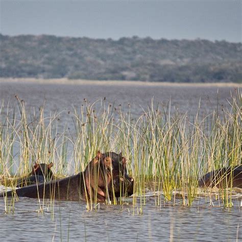 2-Day Maputo Special Reserve Guided Tour