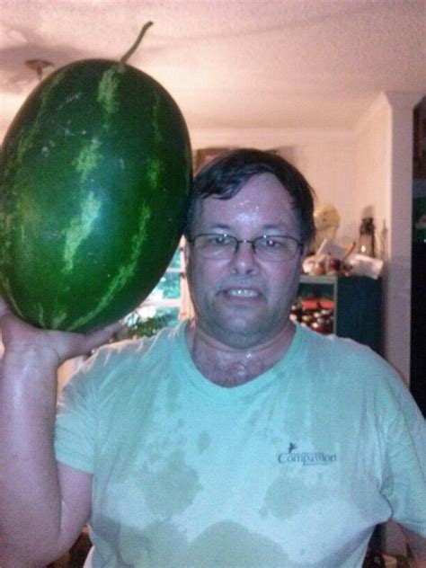 30 pound volunteer watermelon from garden July 2015 | Watermelon, 30 pounds, Volunteer