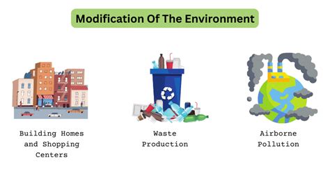 Understanding the Types of Human Environment Interaction