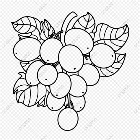 Fruit Grape Clipart Black And White, Lip Drawing, Grape Drawing, Black And White Drawing PNG ...