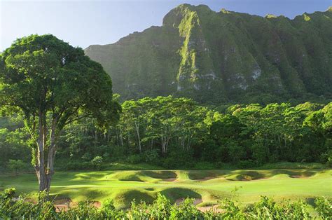 Koolau Golf Club golf course Photograph by David L Moore - Pixels