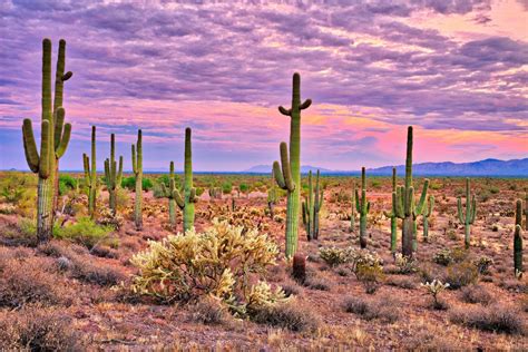 How to Spend a Day in Oro Valley, Arizona - Drivin' & Vibin'