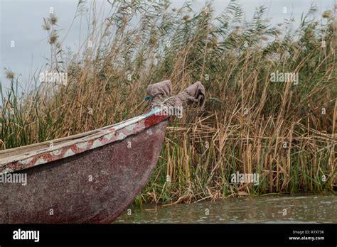 The prow of a traditional Marsh Arab boat seen in the Central Marshes ...