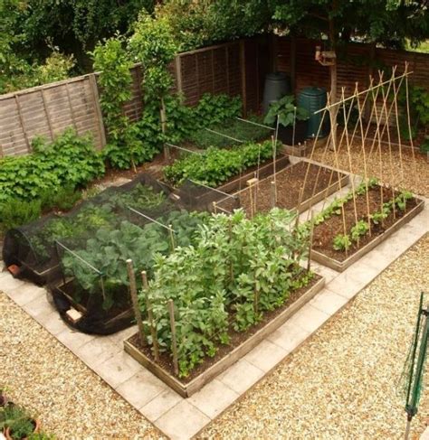 Free Vegetable Garden Layout, Plans and Planting Guides