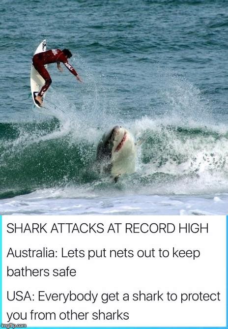 Shark Attack Meme