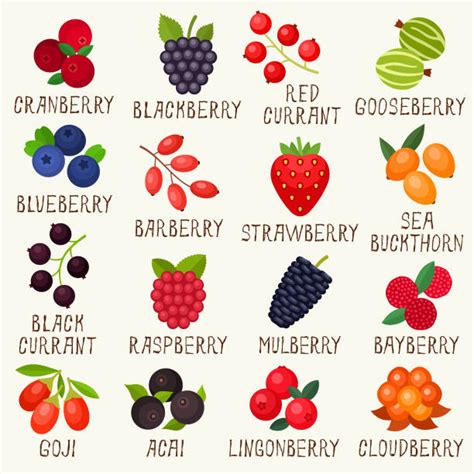 Berries Clipart & Berries Clip Art Images - HDClipartAll