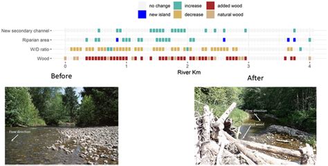 Earth Surface Processes and Landforms | Geomorphology Journal | Wiley Online Library