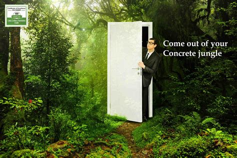 Concrete jungle on Behance