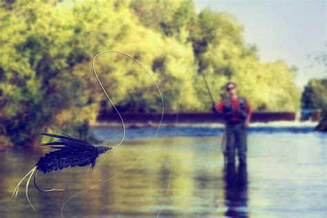 How to Go Fly Fishing: The Complete Guide (Updated 2023)