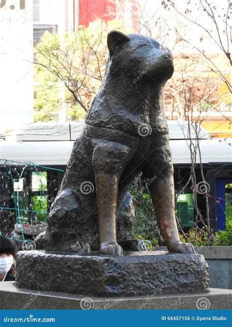 Bronze Statue of the Famous Dog Hachiko, Hachiko Square, Shibuya, Tokyo ...