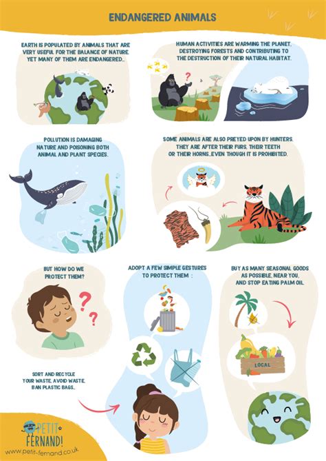 Top 187 + How to protect endangered animals - Inoticia.net