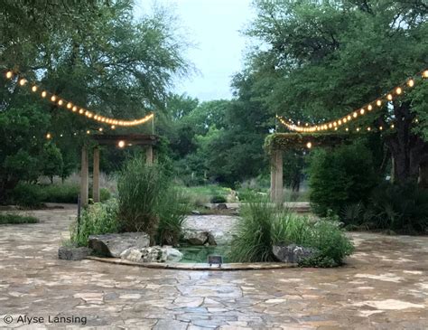 Austin: Wildflower Center, part 2 - in sun — Alyse Lansing - Landscape Design, and Garden ...