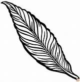Free Feather Coloring Pages For Kids  GBcoloring sketch template