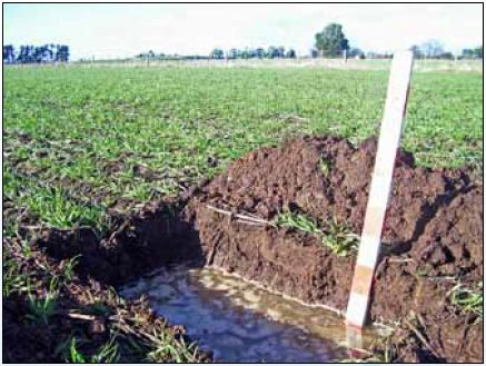 Waterlogging - Tas | Fact Sheets | soilquality.org.au