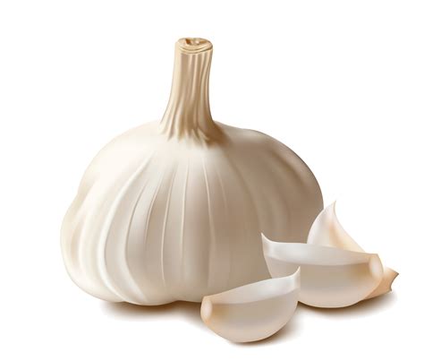 Garlic PNG Image - PurePNG | Free transparent CC0 PNG Image Library