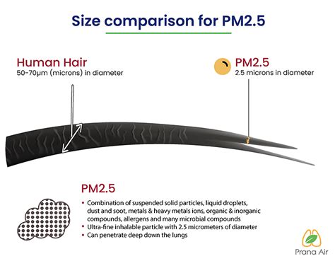 What is PM2.5 particulate matter? | SOURCES & IMPACTS