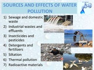 Effects Of Water Pollution