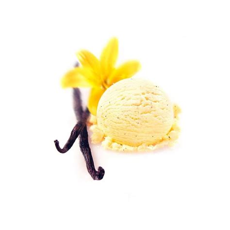 Unico Vanilla Gelato 500ml | Buy Online | Gelato & Sorbet