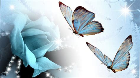 Blue Butterfly Desktop Wallpapers - Top Free Blue Butterfly Desktop Backgrounds - WallpaperAccess