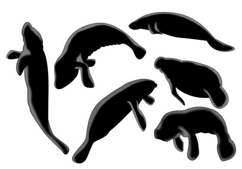 Manatee Silhouette Vector set 117005 Vector Art at Vecteezy