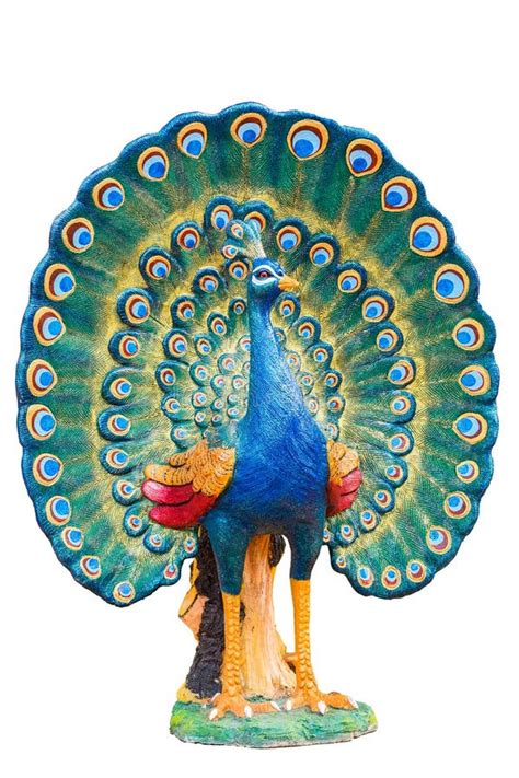 Peacock Statue Isolated On White Background Stock Image - Image of ...