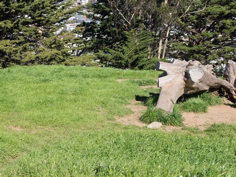 On the Grid : Kite Hill Open Space