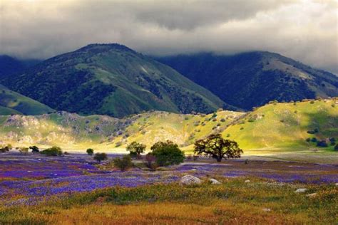 Tejon Ranch Conservancy - American Hiking Society