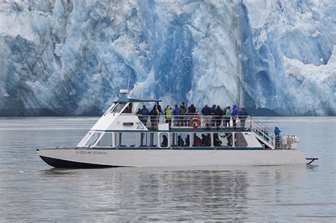 Tracy Arm Fjord & Glacier Explorer - Allen Marine Tours