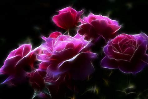 🔥 [41+] Gothic Roses Wallpapers | WallpaperSafari