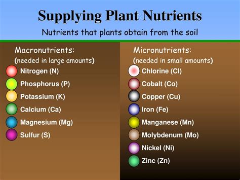 PPT - How soils supply plant nutrients An Introduction to Soil Chemistry PowerPoint Presentation ...