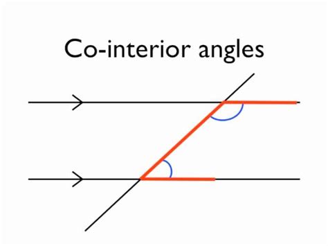 Alternate Interior Angles In Hindi – Two Birds Home