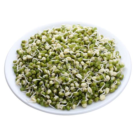 Sprouts Moong - Buy Exotic Sprouts Moong Online of Best Quality in India - Godrej Nature's Basket