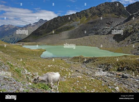 kaunertal mountain lake Stock Photo - Alamy