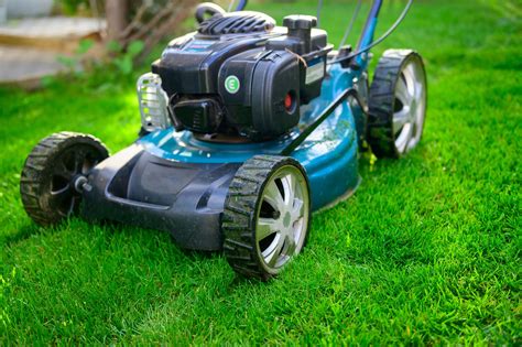 The 5 Best Self-Propelled Lawn Mowers of 2021