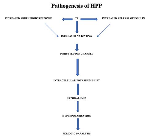 Cureus | Hyperemesis Gravidarum Presenting as Severe Hypokalemic ...