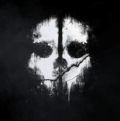 Image - Logan Walker skull mask pattern CoDG.png - The Call of Duty ...