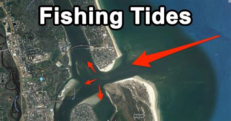 Fishing Tides: Everything You Need To Know (Best Tide, Reading Charts...)