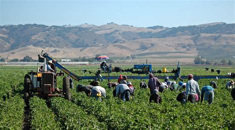 National Agricultural Workers Survey | U.S. Department of Labor