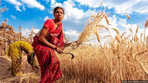 Why Women Farmers Are Losing Jobs, Earnings, Savings Even As Agriculture 'Booms'