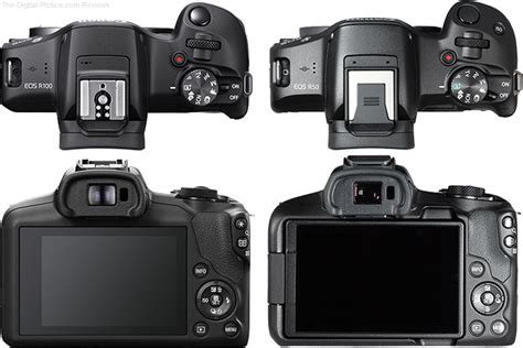 Should I Get the Canon EOS R50 or the R100?