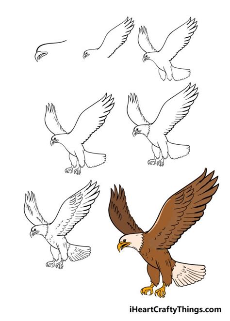 Eagle Drawing - How To Draw An Eagle Step By Step!