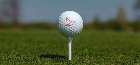 Birdie Golf | Great Balls at Great Prices