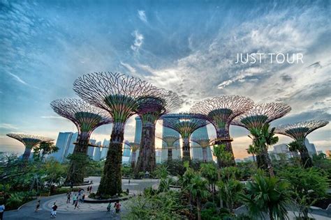 싱가포르 슈퍼트리 | Singapore garden, Singapore architecture, Gardens by the bay